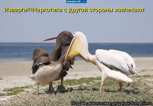 Котоматрица: Изверги!!!Наркотики с другой стороны извлекают.