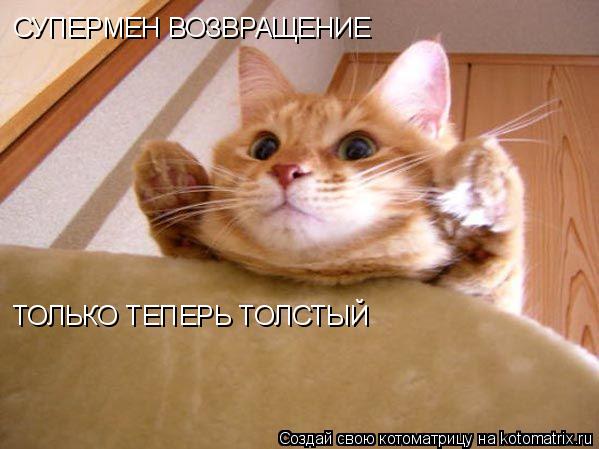 СУПЕРМЕН ВОЗВРАЩЕНИЕ ТОЛЬКО ТЕПЕРЬ ТОЛСТЫЙ... Котоматрица: СУПЕРМЕН ВОЗВРАЩЕНИЕ ТОЛЬКО ТЕПЕРЬ ТОЛСТЫЙ