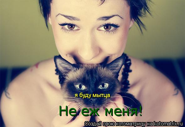 Не еж меня! я буду мытца... Котоматрица: Не еж меня! я буду мытца