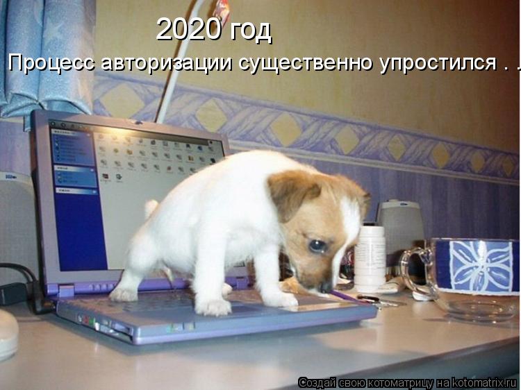 Процесс авторизации существенно упростился . . . 2020 год... Котоматрица: Процесс авторизации существенно упростился . . . 2020 год