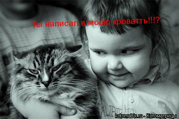 Ты написал в моою кроватть!!!?... Котоматрица: Ты написал в моою кроватть!!!?