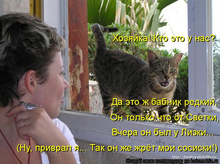 Он только что от Светки, Вчера он был у Лизки... (Ну, приврал я... Так он же жрёт мои сосиски!) Хозяй... Котоматрица: Он только что от Светки, Вчера он был у Лизки... (Ну, приврал я... Так он же жрёт мои сосиски!) Хозяйка! Кто это у нас? Да это ж бабник редкий,