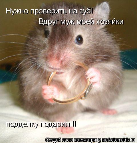 Нужно проверить на зуб! Вдруг муж моей хозяйки подделку подарил!!!... Котоматрица: Нужно проверить на зуб! Вдруг муж моей хозяйки подделку подарил!!!