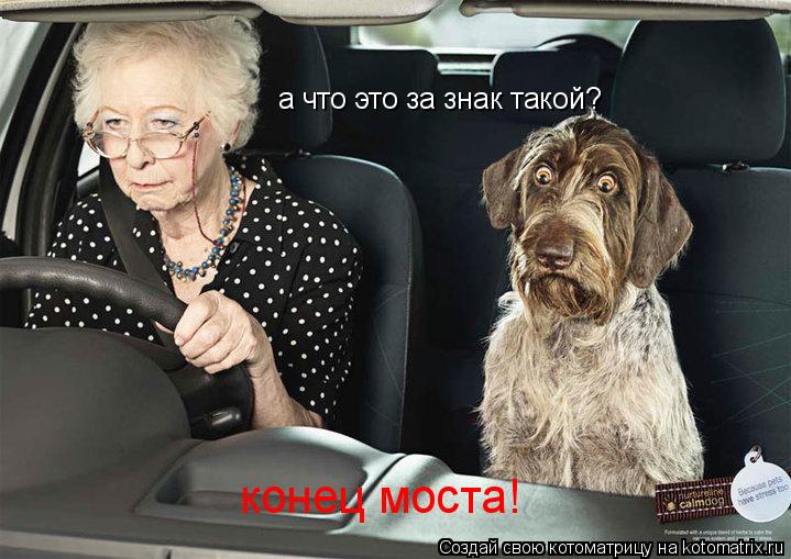 а что это за знак такой? конец моста!... Котоматрица: а что это за знак такой? конец моста!