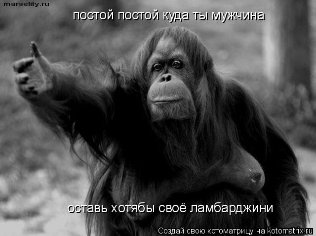 постой постой куда ты мужчина оставь хотябы своё ламбарджини... Котоматрица: постой постой куда ты мужчина оставь хотябы своё ламбарджини