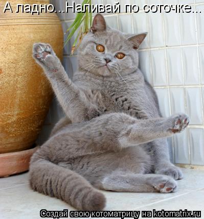 А ладно...Наливай по соточке...... Котоматрица: А ладно...Наливай по соточке...