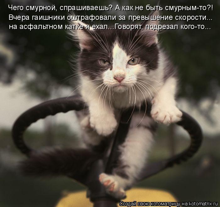 Чего смурной, спрашиваешь? А как не быть смурным-то?! на асфальтном катке я ехал...Говорят, подрезал ... Котоматрица: Чего смурной, спрашиваешь? А как не быть смурным-то?! на асфальтном катке я ехал...Говорят, подрезал кого-то... Вчера гаишники оштрафовали за п