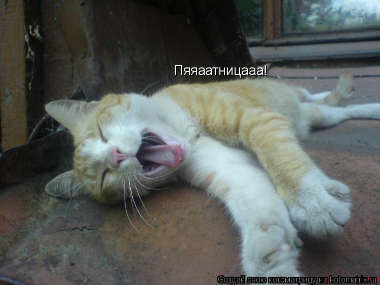 Пяяаатницааа!... Котоматрица: Пяяаатницааа!