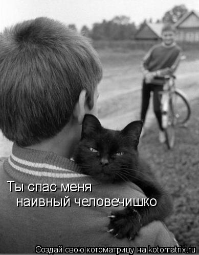 Ты спас меня наивный человечишко... Котоматрица: Ты спас меня наивный человечишко