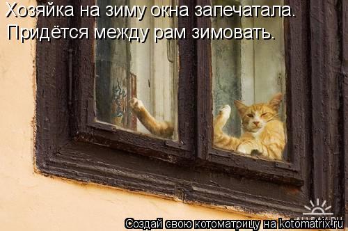 Хозяйка на зиму окна запечатала. Придётся между рам зимовать.... Котоматрица: Хозяйка на зиму окна запечатала. Придётся между рам зимовать.