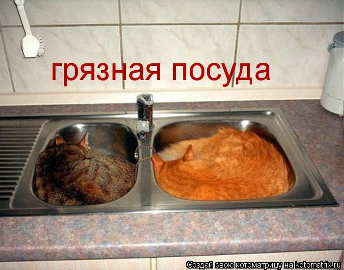 грязная посуда... Котоматрица: грязная посуда