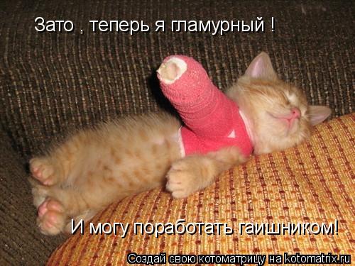 Зато , теперь я гламурный ! И могу поработать гаишником!... Котоматрица: Зато , теперь я гламурный ! И могу поработать гаишником!