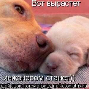 Вот вырастет инжэнэром станет))... Котоматрица: Вот вырастет инжэнэром станет))
