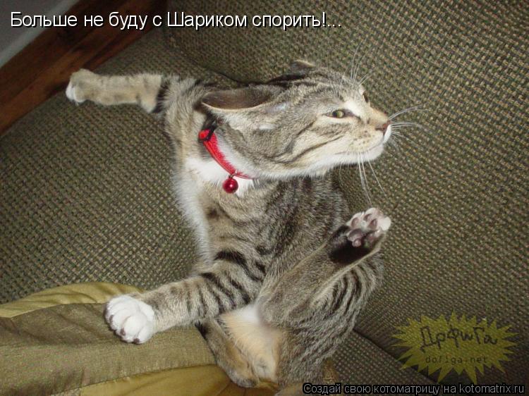Больше не буду с Шариком спорить!...... Котоматрица: Больше не буду с Шариком спорить!...