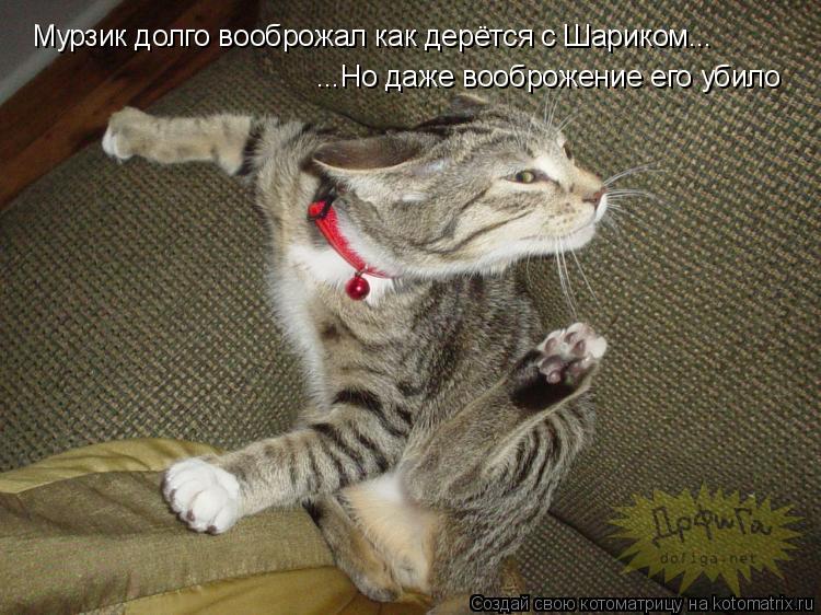 Мурзик долго вооброжал как дерётся с Шариком... ...Но даже вооброжение его убило... Котоматрица: Мурзик долго вооброжал как дерётся с Шариком... ...Но даже вооброжение его убило