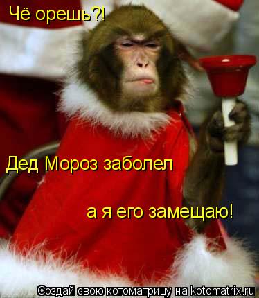 Чё орешь?! Дед Мороз заболел а я его замещаю!... Котоматрица: Чё орешь?! Дед Мороз заболел а я его замещаю!