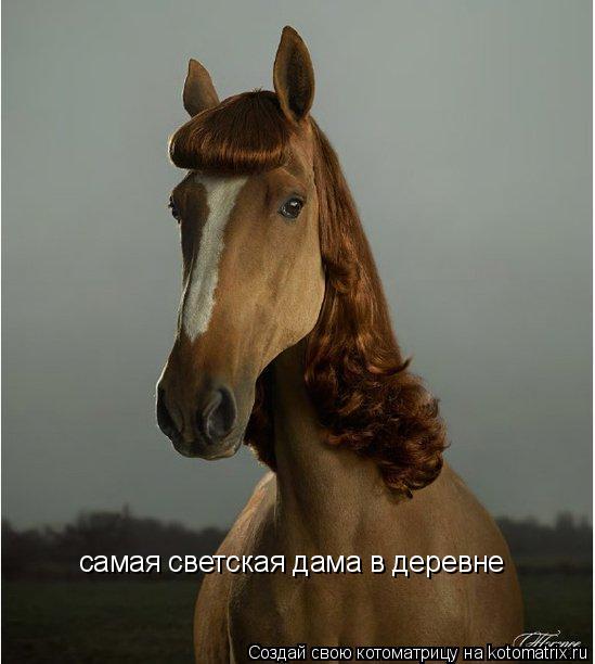 Котоматрица: самая светская дама в деревне