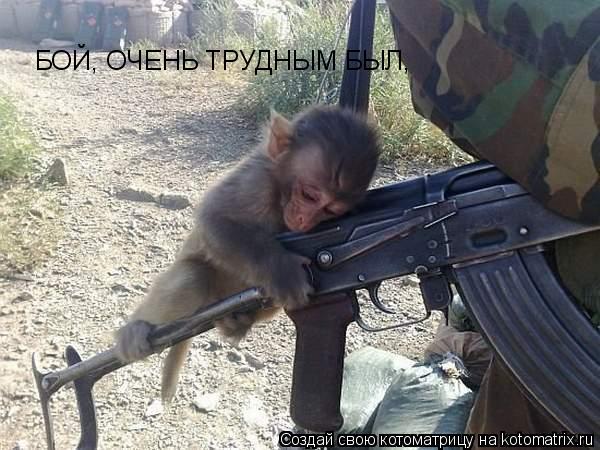 Котоматрица: БОЙ, ОЧЕНЬ ТРУДНЫМ БЫЛ,