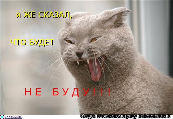 Котоматрица: я ЖЕ СКАЗАЛ, ЧТО БУДЕТ  Н Е   Б У Д У ! ! !