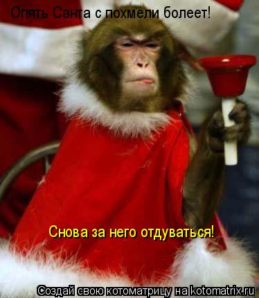 Котоматрица: Опять Санта с похмели болеет! Снова за него отдуваться!