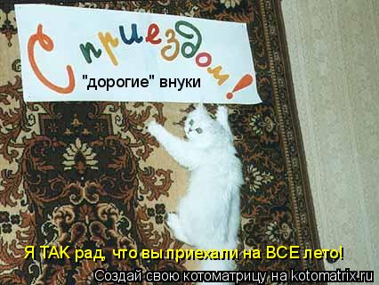 Котоматрица: "дорогие" внуки Я TAK рад, что вы приехали на ВСЕ лето!
