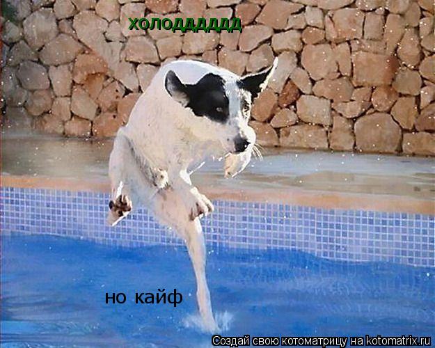 Котоматрица: холодддддд но кайф