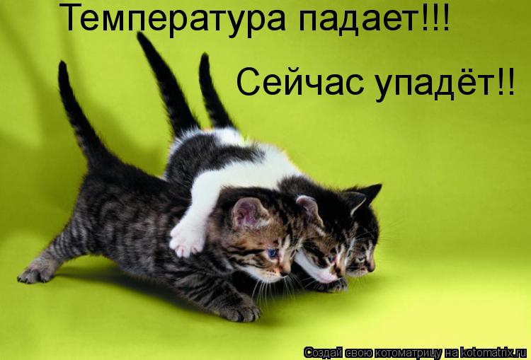Котоматрица: Температура падает!!! Сейчас упадёт!!