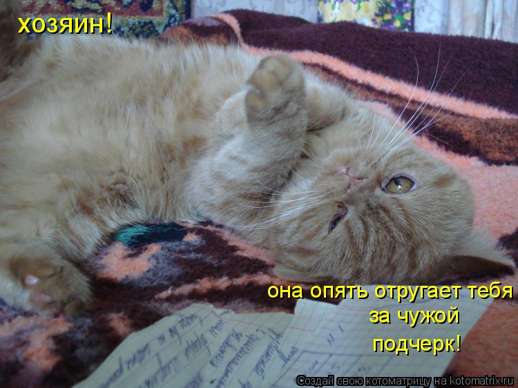 Котоматрица: хозяин!  она опять отругает тебя за чужой подчерк!