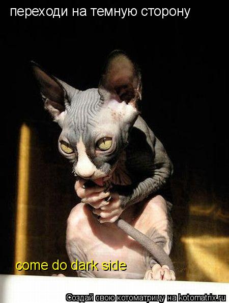переходи на темную сторону come do dark side... Котоматрица: переходи на темную сторону come do dark side