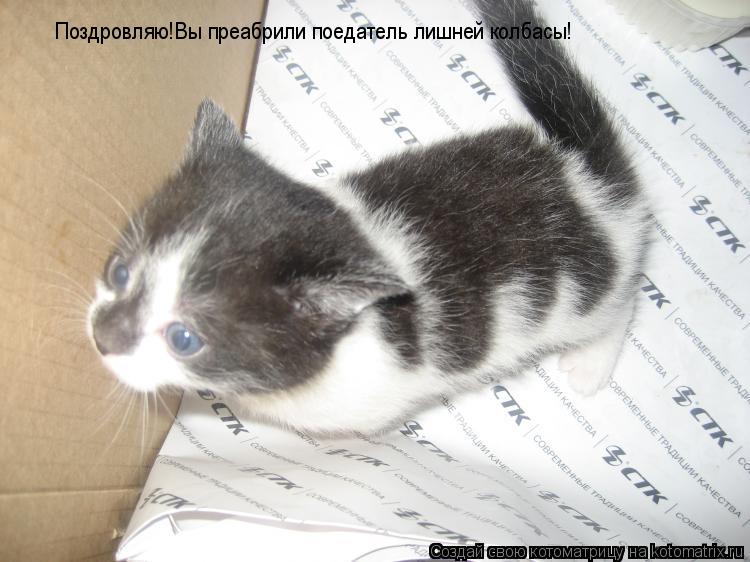 Поздровляю!Вы преабрили поедатель лишней колбасы!... Котоматрица: Поздровляю!Вы преабрили поедатель лишней колбасы!