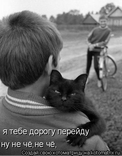 ну не чё,не чё, я тебе дорогу перейду... Котоматрица: ну не чё,не чё, я тебе дорогу перейду