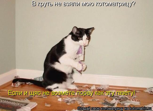 В круть не взяли мою котоматрицу? Если и щяс не возмёте порву как эту газету!... Котоматрица: В круть не взяли мою котоматрицу? Если и щяс не возмёте порву как эту газету!