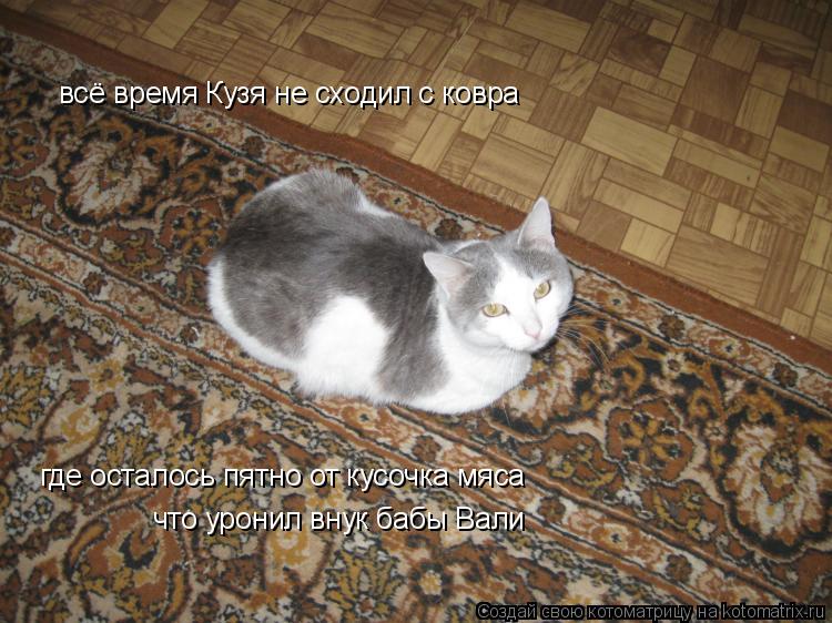 всё время Кузя не сходил с ковра где осталось пятно от кусочка мяса что уронил внук бабы Вали... Котоматрица: всё время Кузя не сходил с ковра где осталось пятно от кусочка мяса что уронил внук бабы Вали