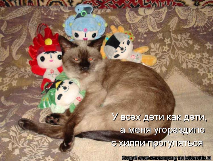 У всех дети как дети, а меня угораздило с хиппи прогуляться... Котоматрица: У всех дети как дети, а меня угораздило с хиппи прогуляться