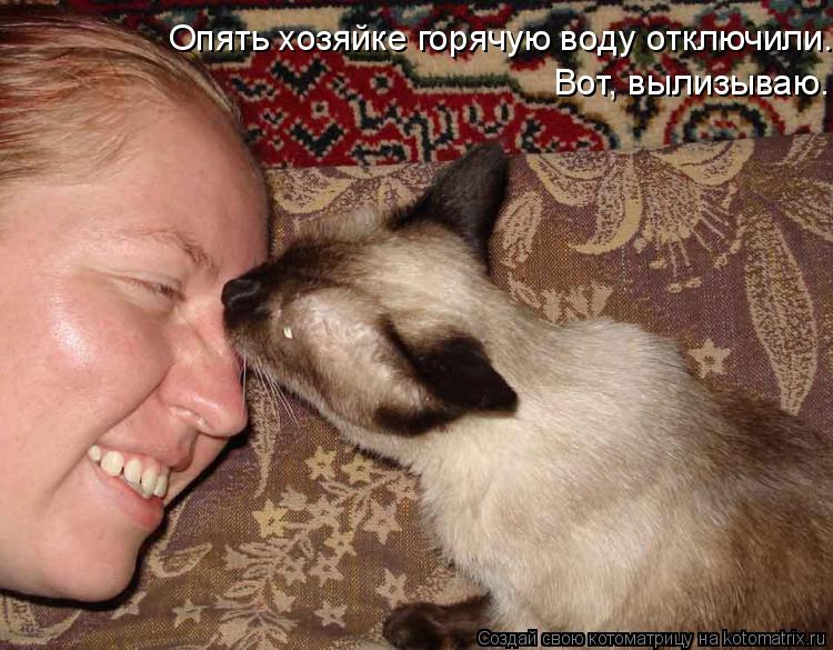 Опять хозяйке горячую воду отключили. Вот, вылизываю.... Котоматрица: Опять хозяйке горячую воду отключили. Вот, вылизываю.