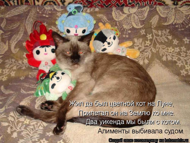 Алименты выбивала судом. Два уикенда мы были с котом. Жил да был цветной кот на Луне, Прилетал он на ... Котоматрица: Алименты выбивала судом. Два уикенда мы были с котом. Жил да был цветной кот на Луне, Прилетал он на Землю ко мне.