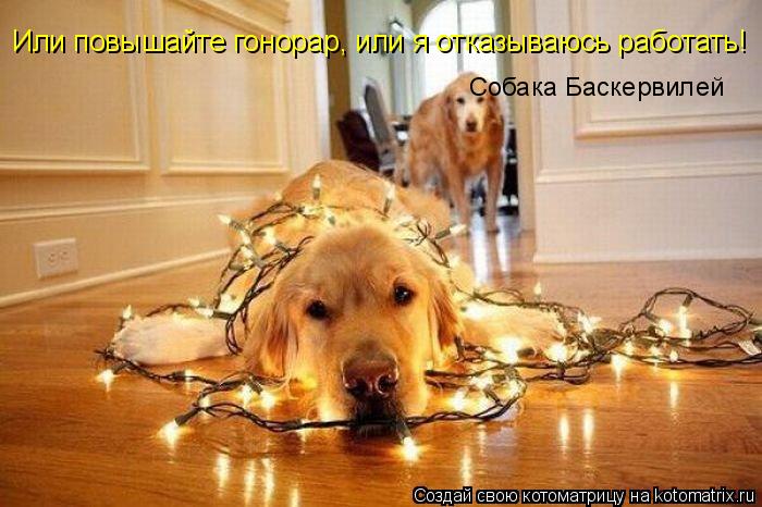 Или повышайте гонорар, или я отказываюсь работать! Собака Баскервилей... Котоматрица: Или повышайте гонорар, или я отказываюсь работать! Собака Баскервилей