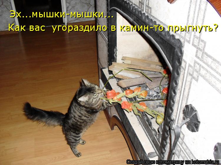 Эх...мышки-мышки... Как вас угораздило в камин-то прыгнуть?... Котоматрица: Эх...мышки-мышки... Как вас угораздило в камин-то прыгнуть?