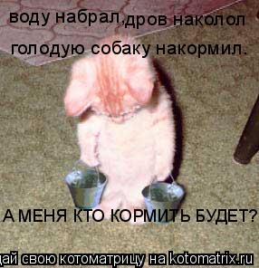 воду набрал, дров наколол голодую собаку накормил. А МЕНЯ КТО КОРМИТЬ БУДЕТ?... Котоматрица: воду набрал, дров наколол голодую собаку накормил. А МЕНЯ КТО КОРМИТЬ БУДЕТ?