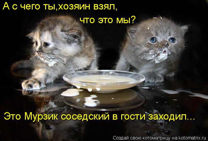 А с чего ты,хозяин взял, что это мы? Это Мурзик соседский в гости заходил...... Котоматрица: А с чего ты,хозяин взял, что это мы? Это Мурзик соседский в гости заходил...