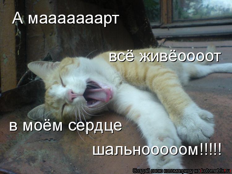 А мааааааарт всё живёоооот в моём сердце шальнооооом!!!!!... Котоматрица: А мааааааарт всё живёоооот в моём сердце шальнооооом!!!!!
