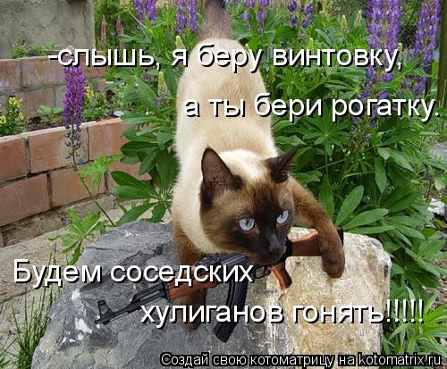 -слышь, я беру винтовку, а ты бери рогатку. Будем соседских хулиганов гонять!!!!!... Котоматрица: -слышь, я беру винтовку, а ты бери рогатку. Будем соседских хулиганов гонять!!!!!