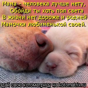 Мама - человека лучше нету, Обойди ты хоть пол света В жизни нет дороже и родней Мамочки любименькой... Котоматрица: Мама - человека лучше нету, Обойди ты хоть пол света В жизни нет дороже и родней Мамочки любименькой своей.