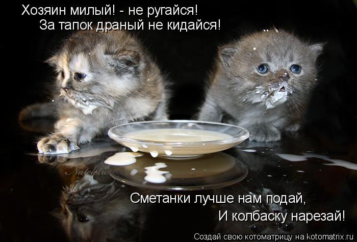 Хозяин милый! - не ругайся! За тапок драный не кидайся! Сметанки лучше нам подай, И колбаску нарезай!... Котоматрица: Хозяин милый! - не ругайся! За тапок драный не кидайся! Сметанки лучше нам подай, И колбаску нарезай!