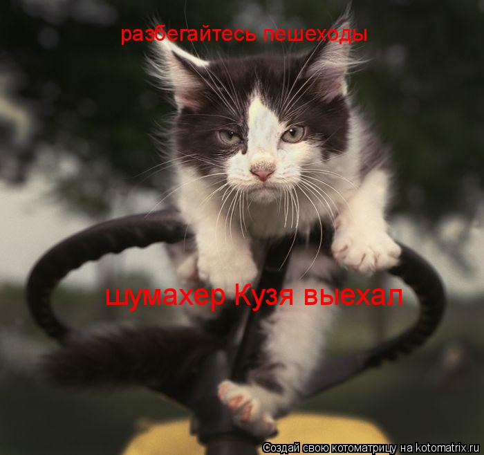 разбегайтесь пешеходы шумахер Кузя выехал... Котоматрица: разбегайтесь пешеходы шумахер Кузя выехал