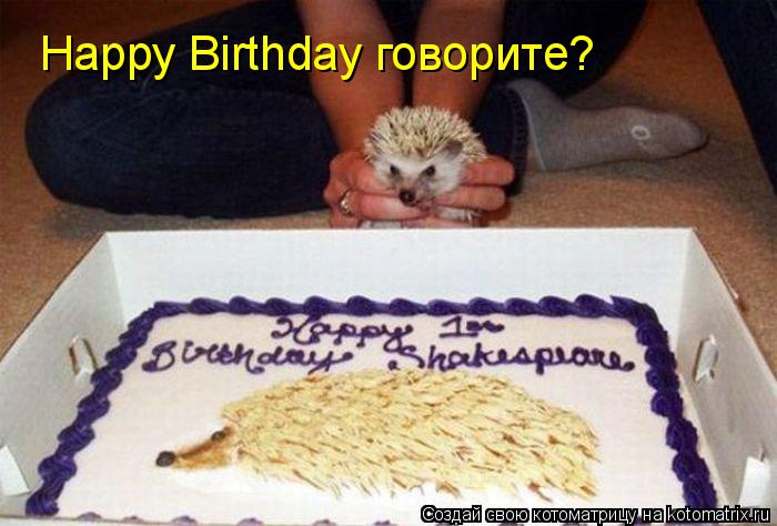 Happy Birthday говорите?... Котоматрица: Happy Birthday говорите?
