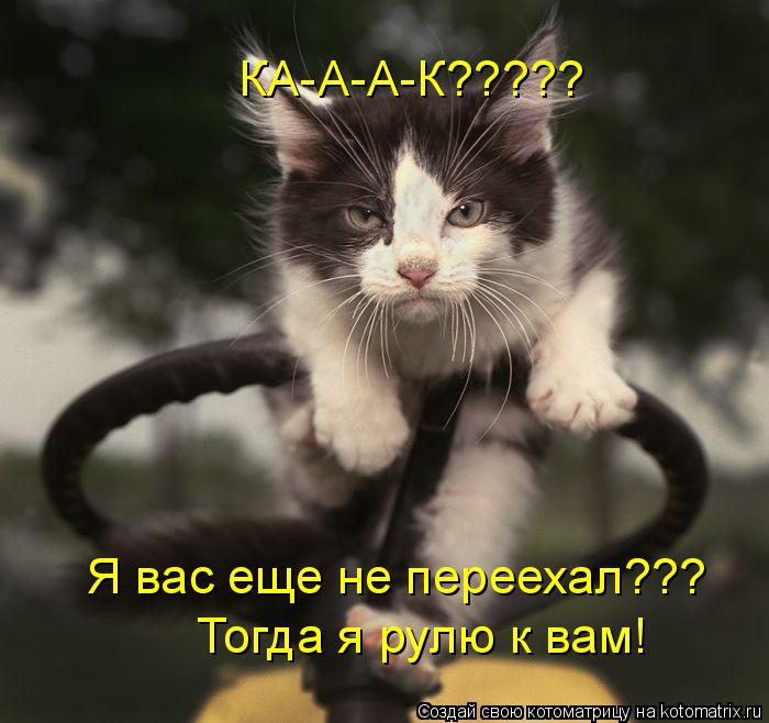КА-А-А-К????? Я вас еще не переехал??? Тогда я рулю к вам!... Котоматрица: КА-А-А-К????? Я вас еще не переехал??? Тогда я рулю к вам!