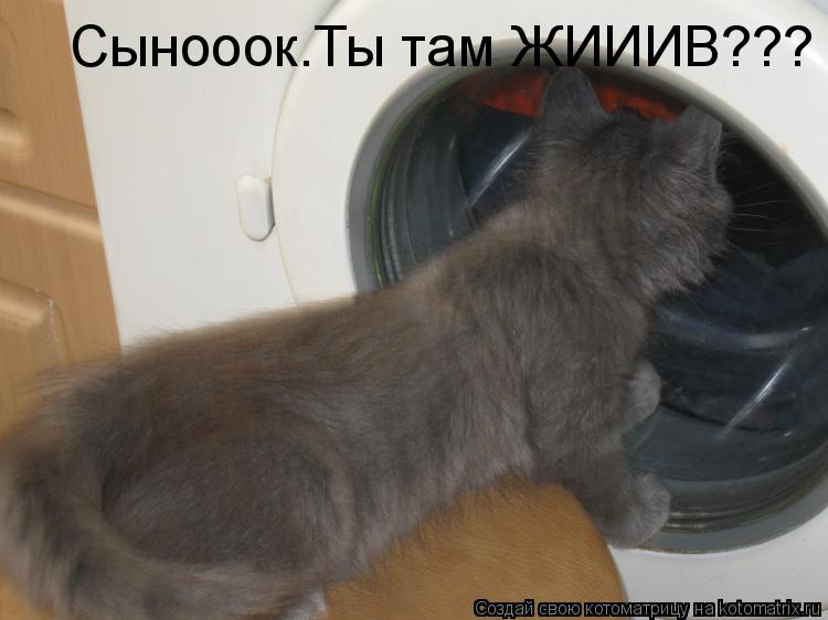 Сынооок.Ты там ЖИИИВ???... Котоматрица: Сынооок.Ты там ЖИИИВ???