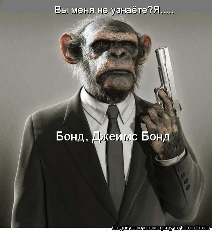 Вы меня не узнаёте?Я..... Бонд, Джеимс Бонд... Котоматрица: Вы меня не узнаёте?Я..... Бонд, Джеимс Бонд