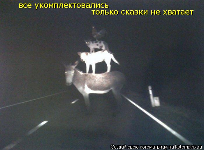 все укомплектовались только сказки не хватает... Котоматрица: все укомплектовались только сказки не хватает